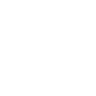 Computer Icon